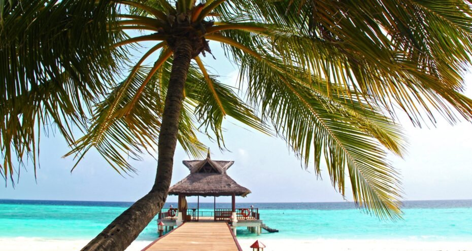 pppppppppppppppppppp pppppppppppppppppppp