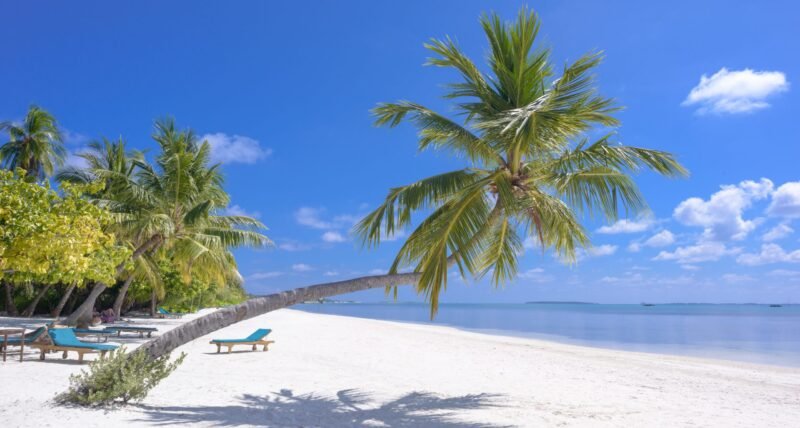 pexels-asad-photo-maldives-1591373 pexels-asad-photo-maldives-1591373