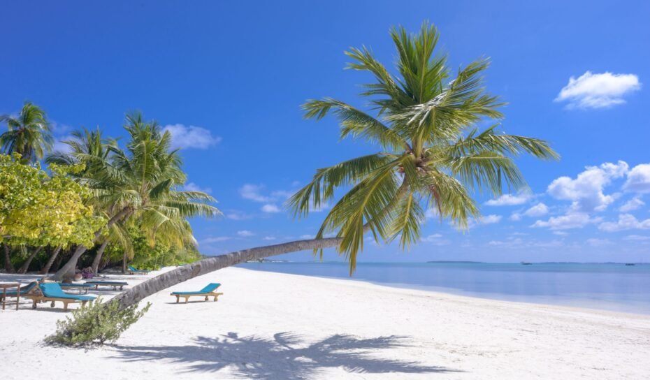 pexels-asad-photo-maldives-1591373 pexels-asad-photo-maldives-1591373