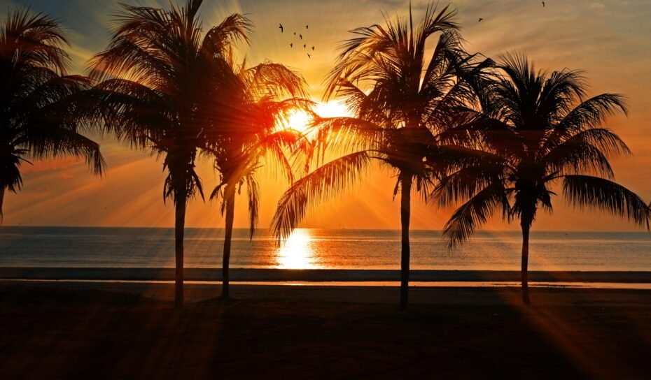 qpexels-pixabay-219998 qpexels-pixabay-219998