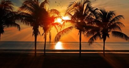 qpexels-pixabay-219998-scaled