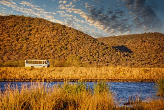 safari tour operator driving a bus safari tour operator driving a bus in Mokolodi game reserve in Botswana