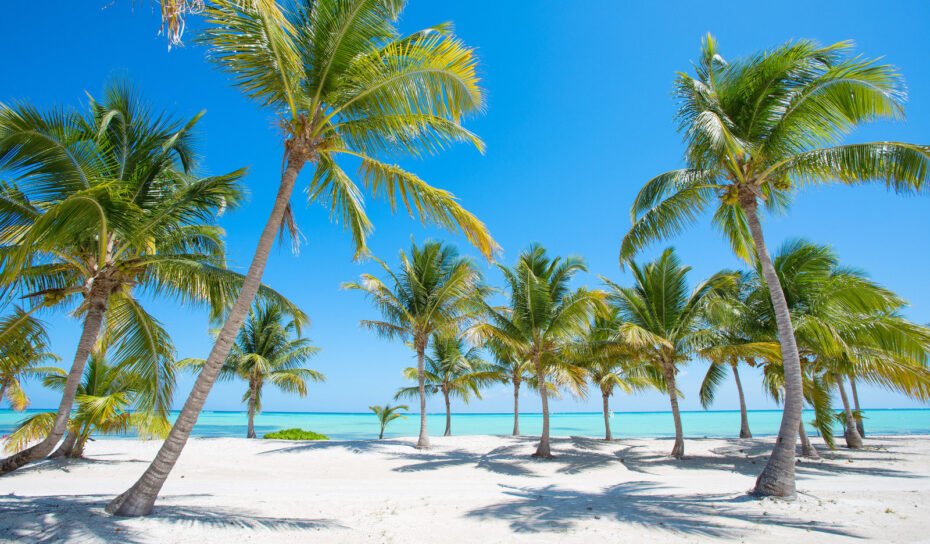 uri_ifs___M_jfsMzR36NZA0louULRUSa4NkCuY0YHPC8zQTgYC-17U uri_ifs___M_jfsMzR36NZA0louULRUSa4NkCuY0YHPC8zQTgYC-17U